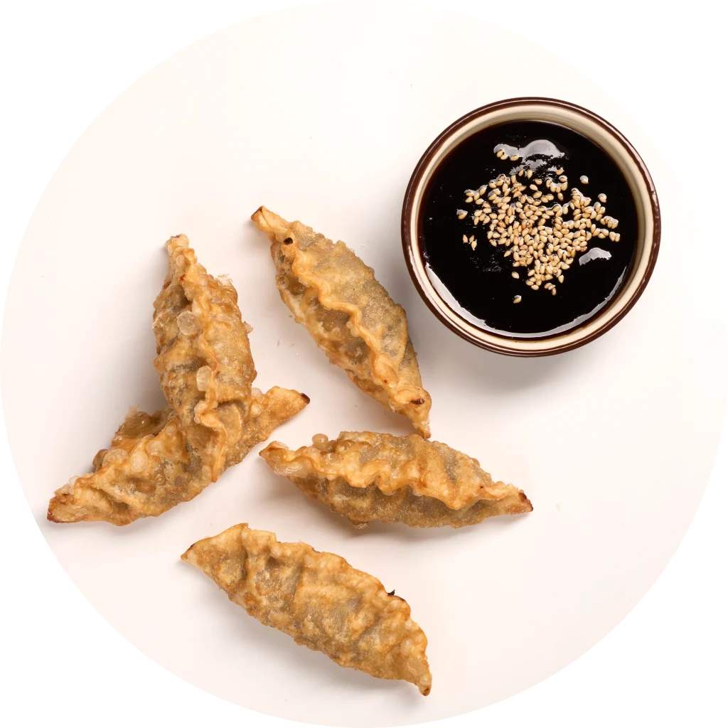 FRIED MANDU (MEAT)